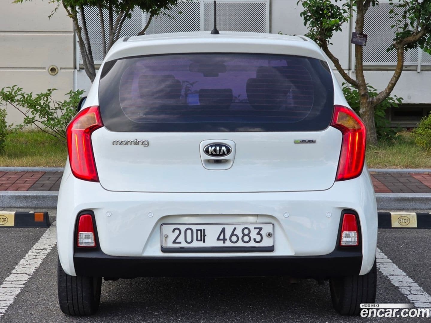 Main__Slider__Photo:morning Kia 2015.0-11