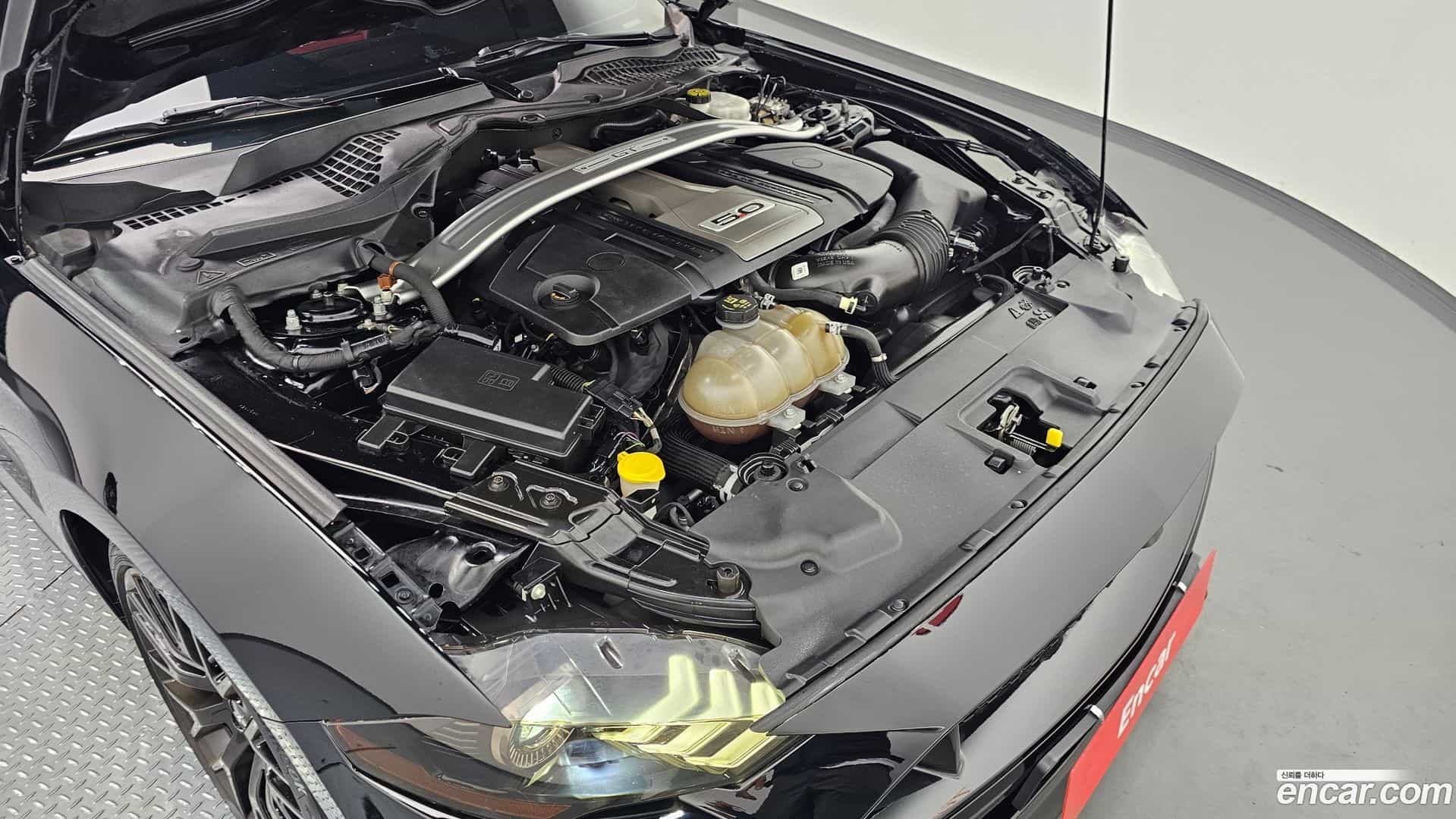 Mustang Ford 2019.0-INNER-006