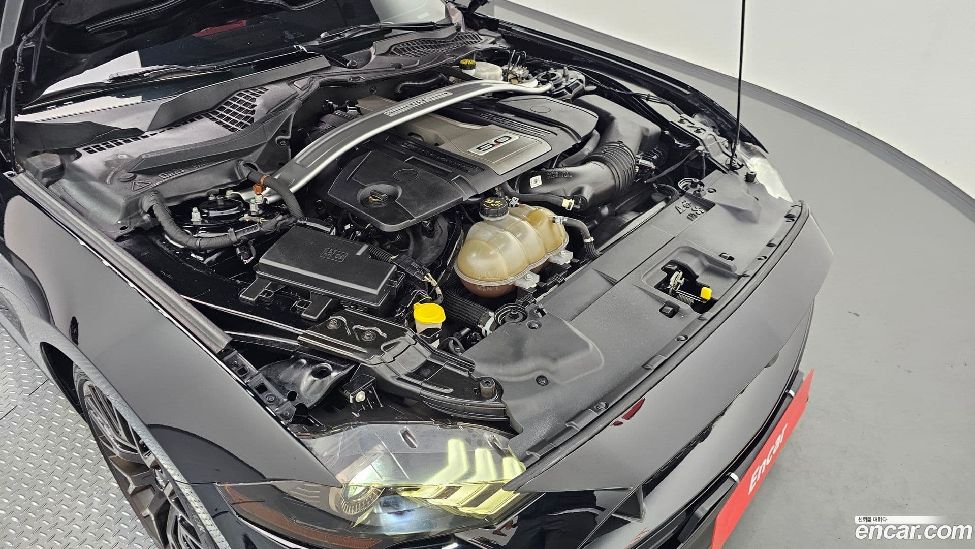 Main__Slider__Photo:Mustang Ford 2019.0-5