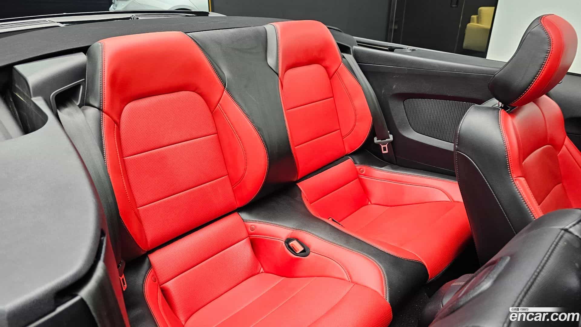 Mustang Ford 2019.0-OPTION-016