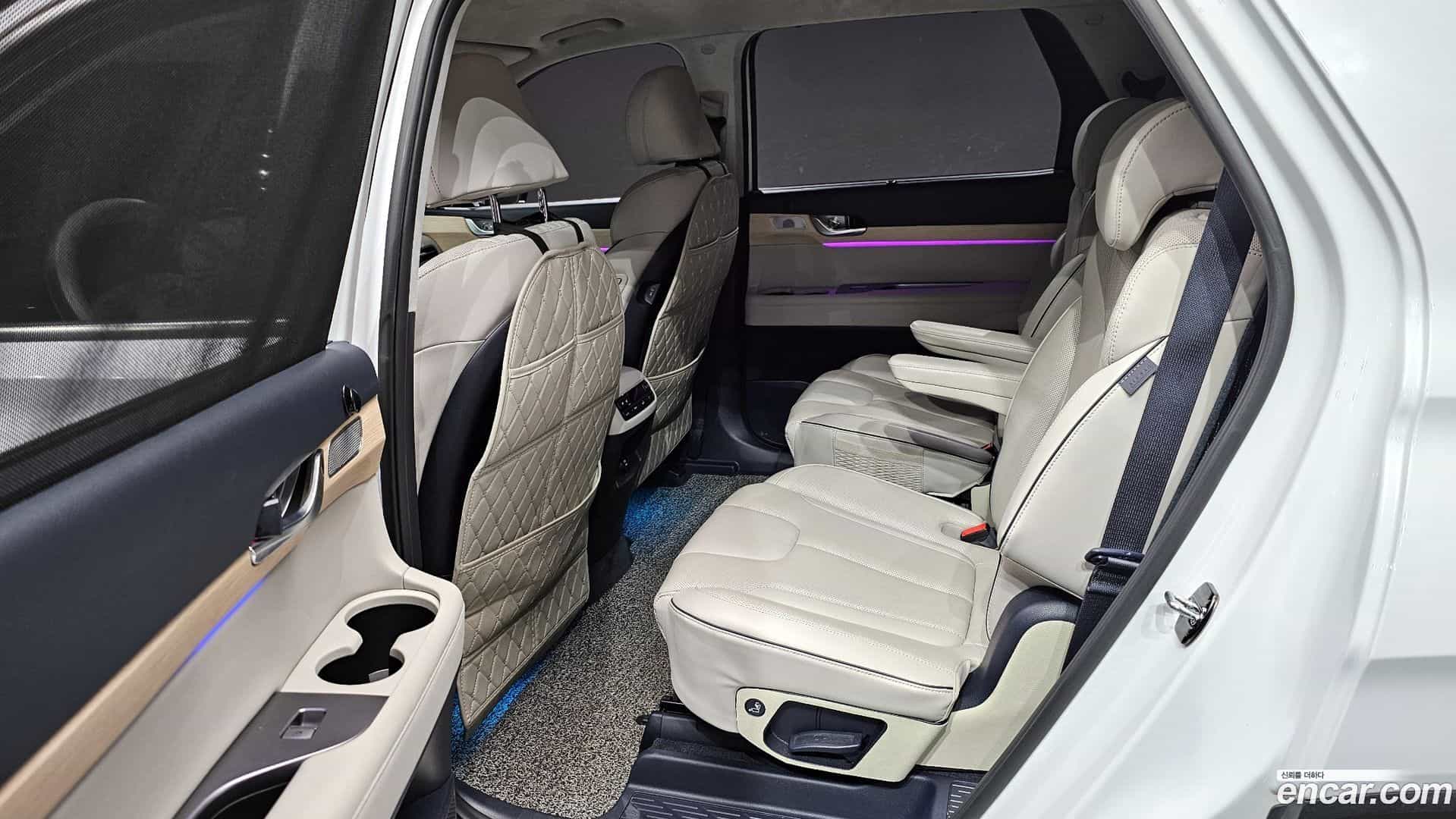 Palisade Hyundai 2023.0-OPTION-016