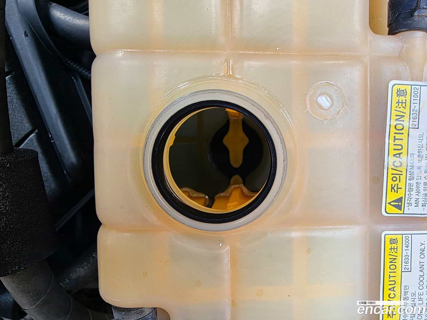 KORANDO KG_Mobility_Ssangyong 2011.4-OPTION-021