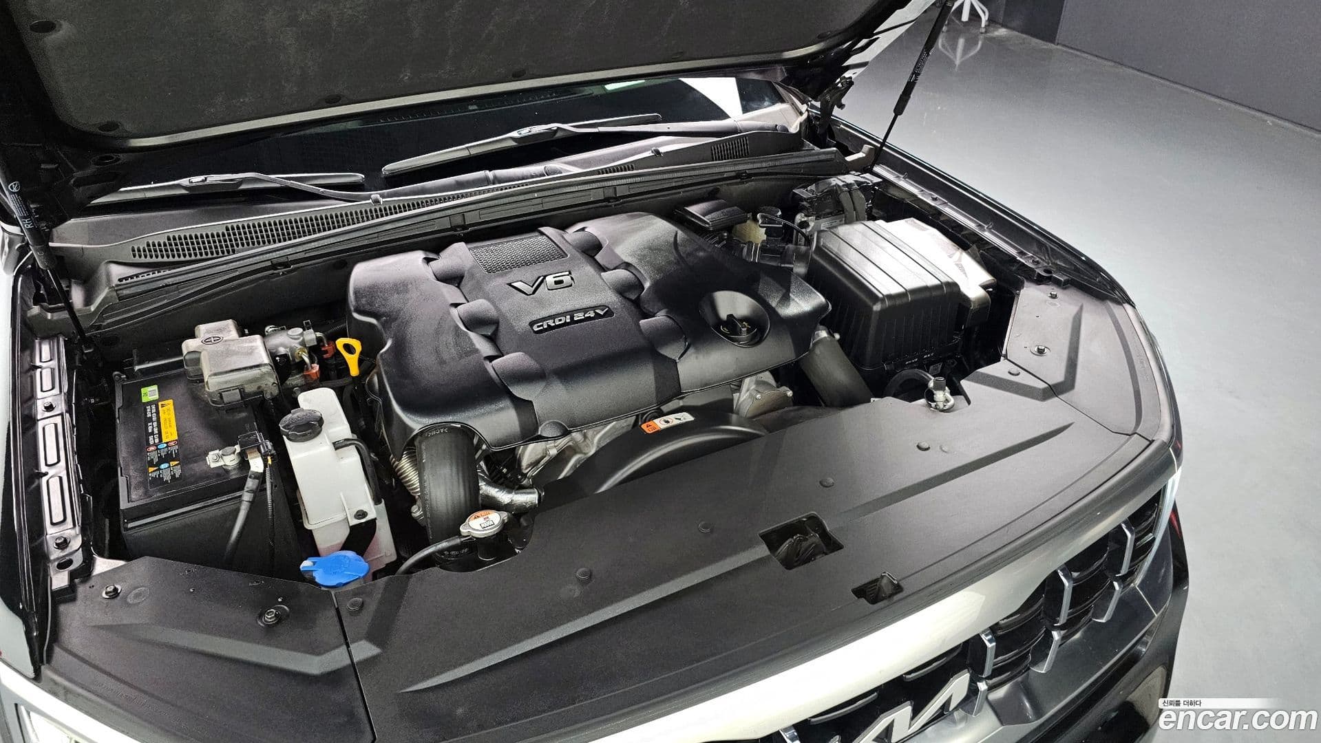 Main__Slider__Photo:Mohave Kia 2022.9-5