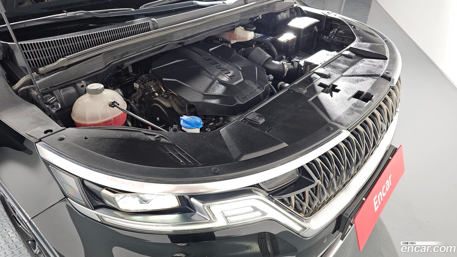 Main__Slider__Photo:Canival Kia 2020.7-5