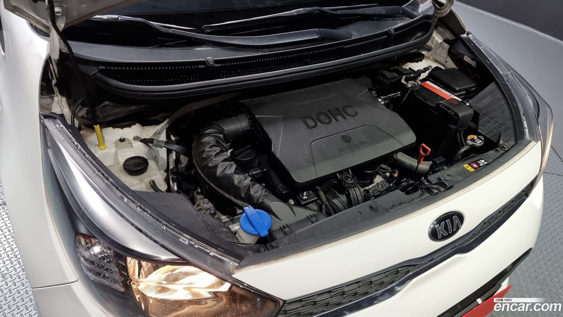 Main__Slider__Photo:morning Kia 2019.7-5