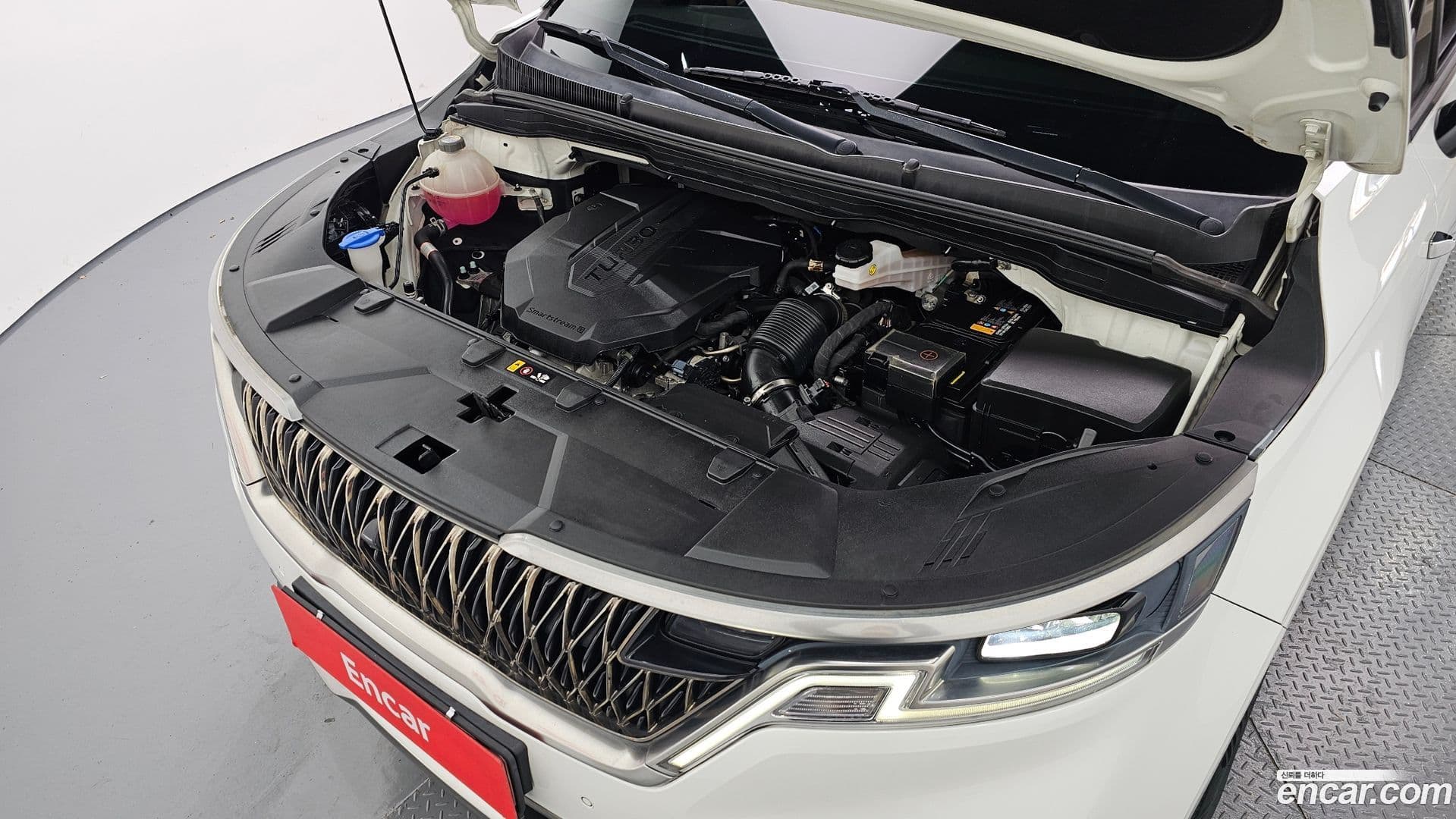 Main__Slider__Photo:Canival Kia 2021.10-5