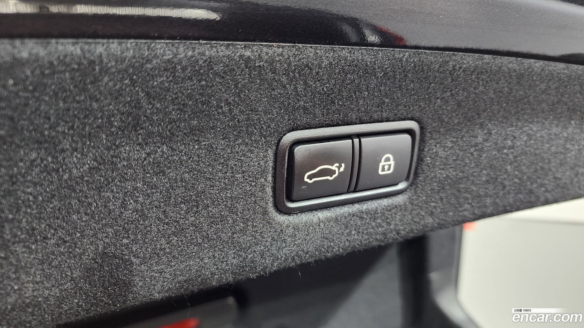 Main__Slider__Photo:K9 Kia 2018.5-19