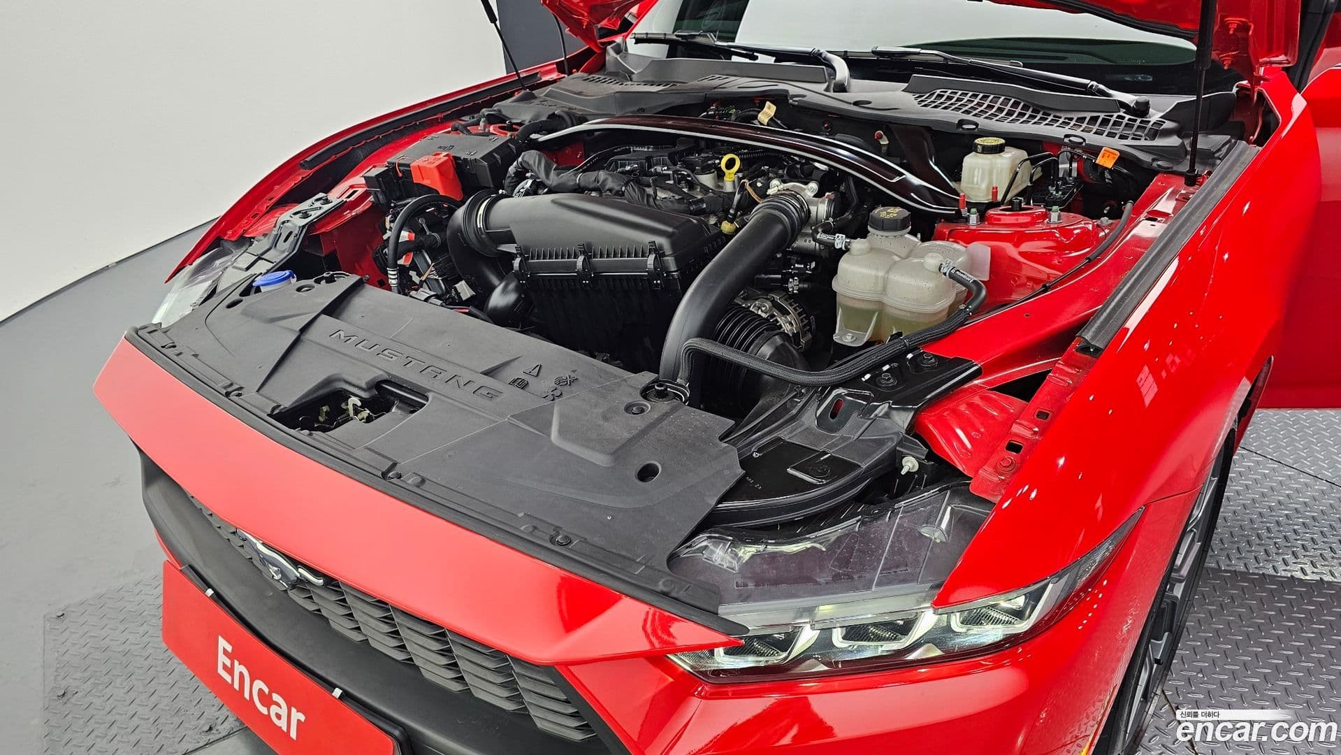 Main__Slider__Photo:Mustang Ford 2024.1-5