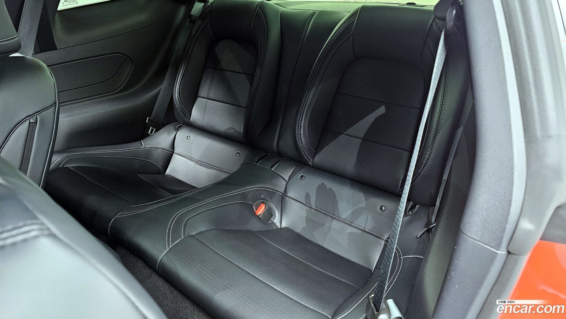 Main__Slider__Photo:Mustang Ford 2024.1-11