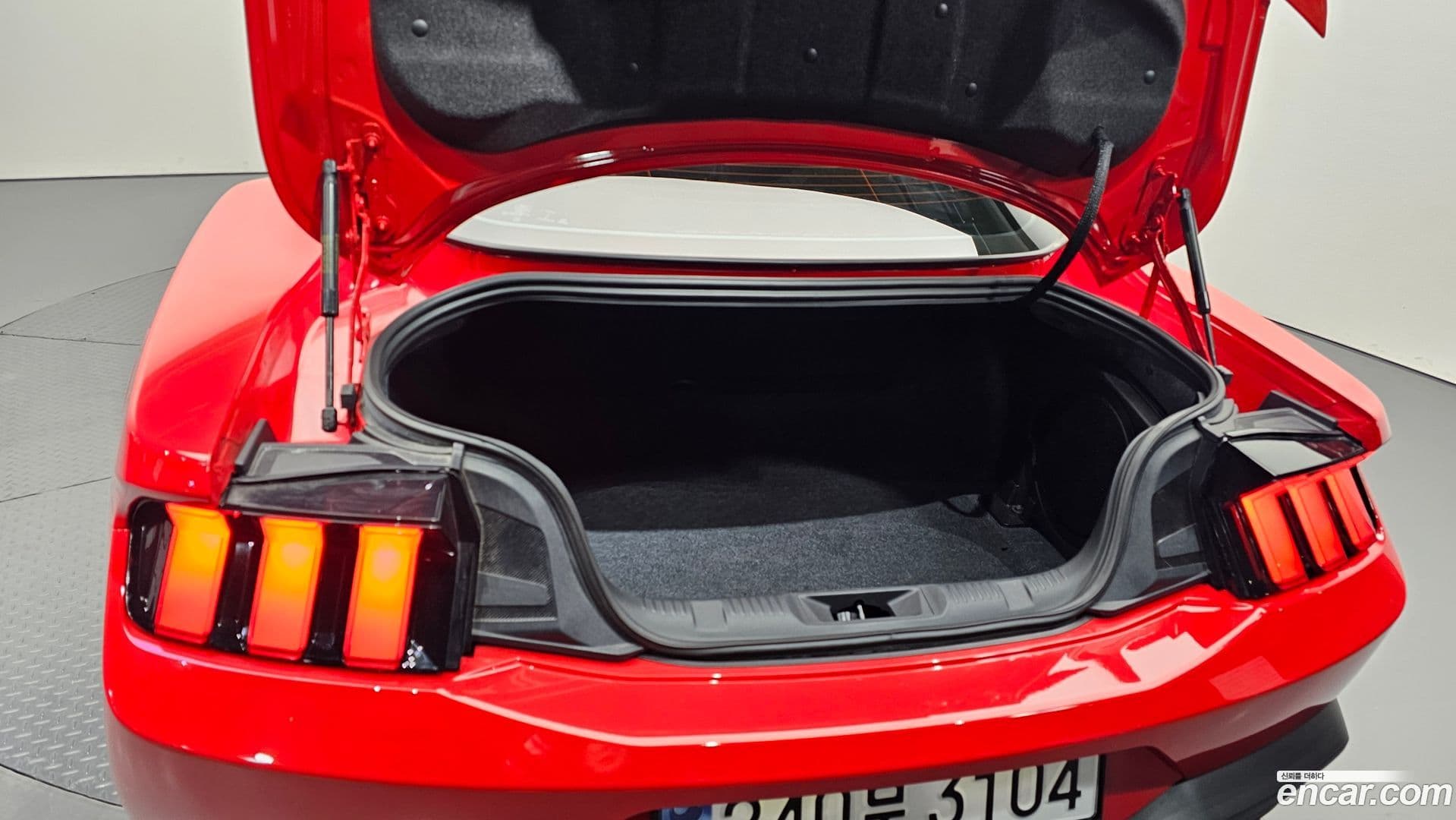 Main__Slider__Photo:Mustang Ford 2024.1-19