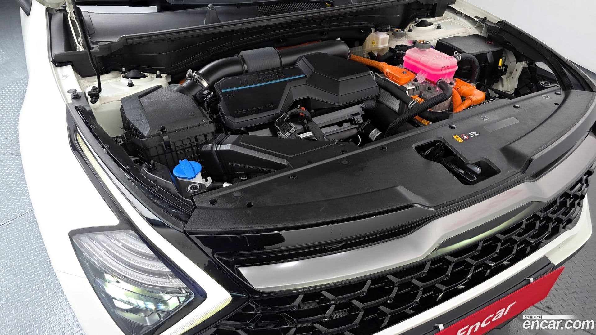 Main__Slider__Photo:Sportage Kia 2022.0-5