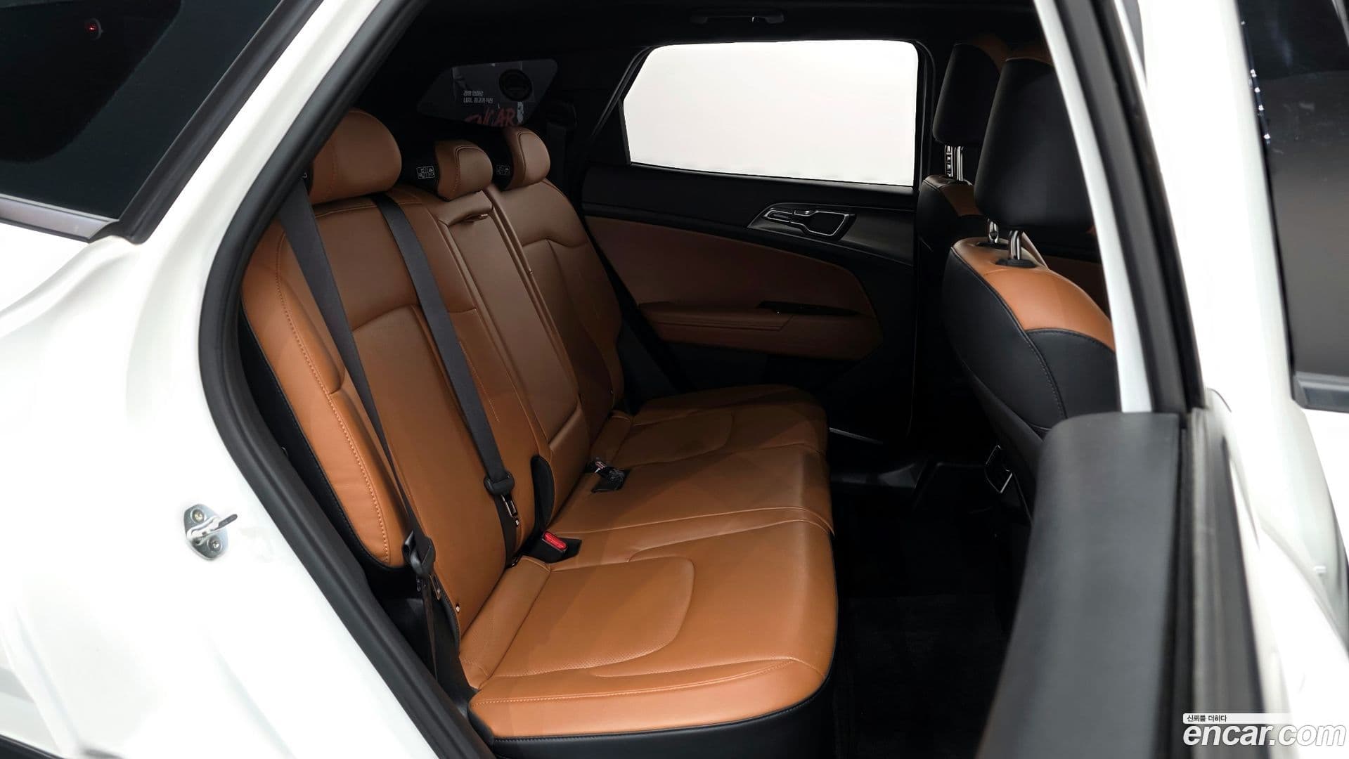 Main__Slider__Photo:Sportage Kia 2022.0-11