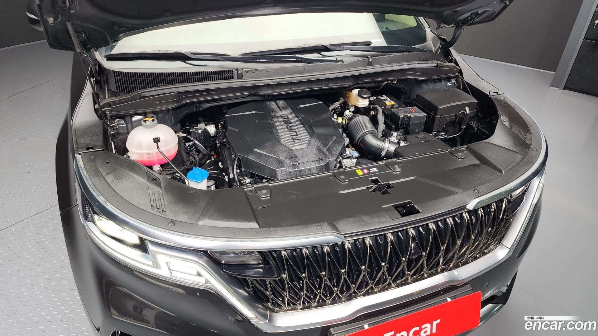 Main__Slider__Photo:Canival Kia 2020.11-5