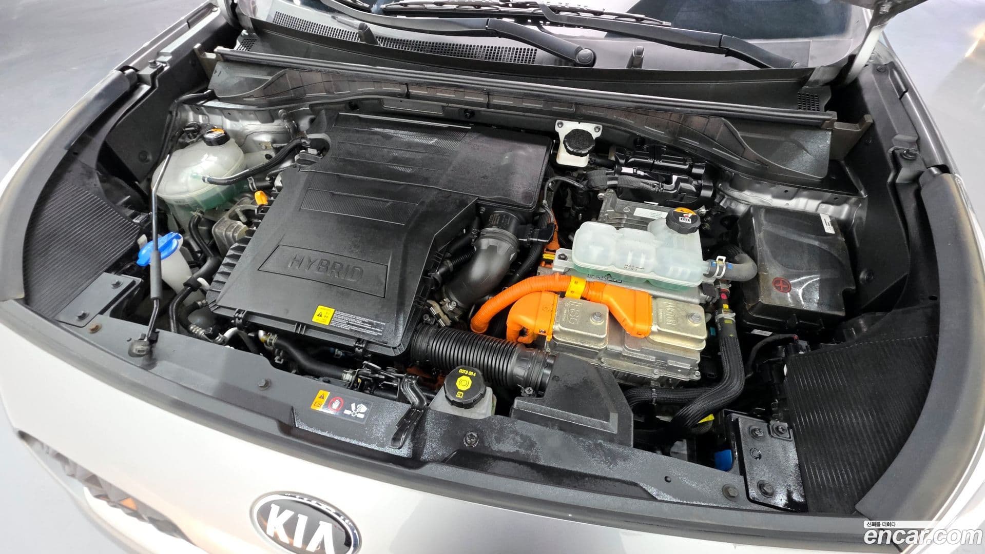 Main__Slider__Photo:Niro Kia 2020.8-5