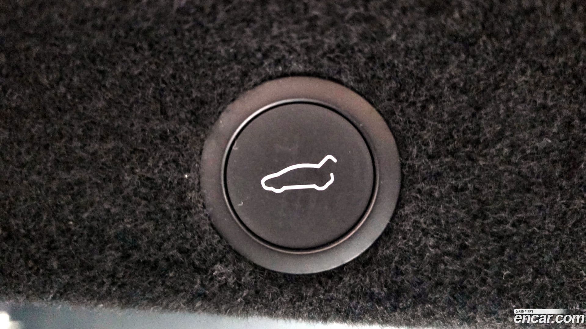 Main__Slider__Photo:Model Y Tesla 2025.4-19