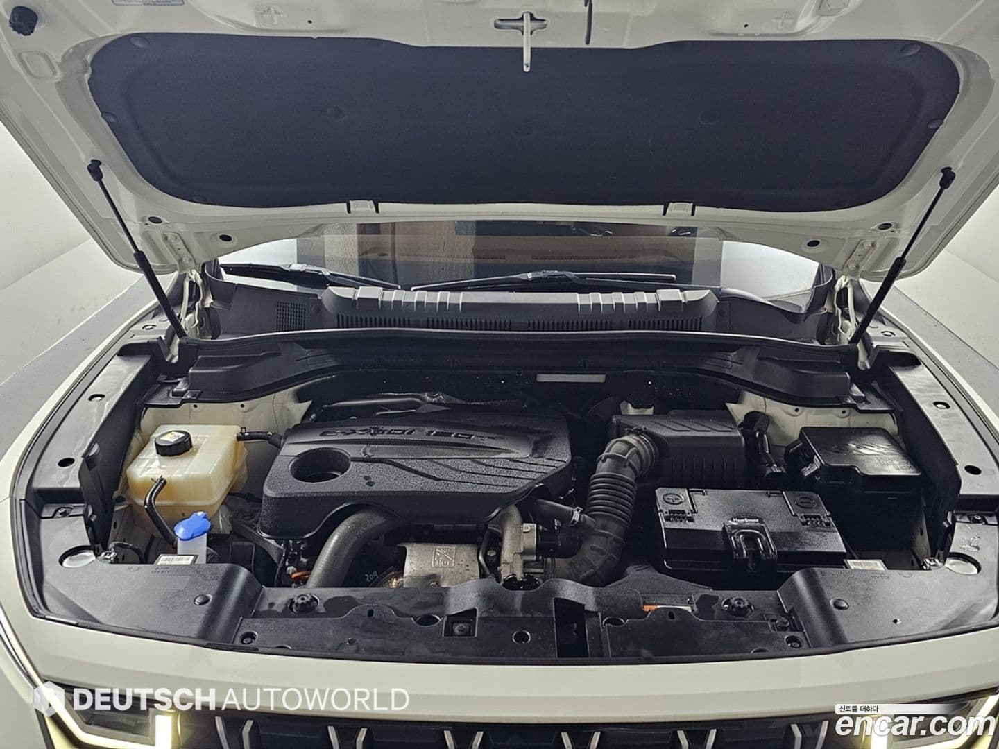 Main__Slider__Photo:Torres KG Mobility 2022.10-5