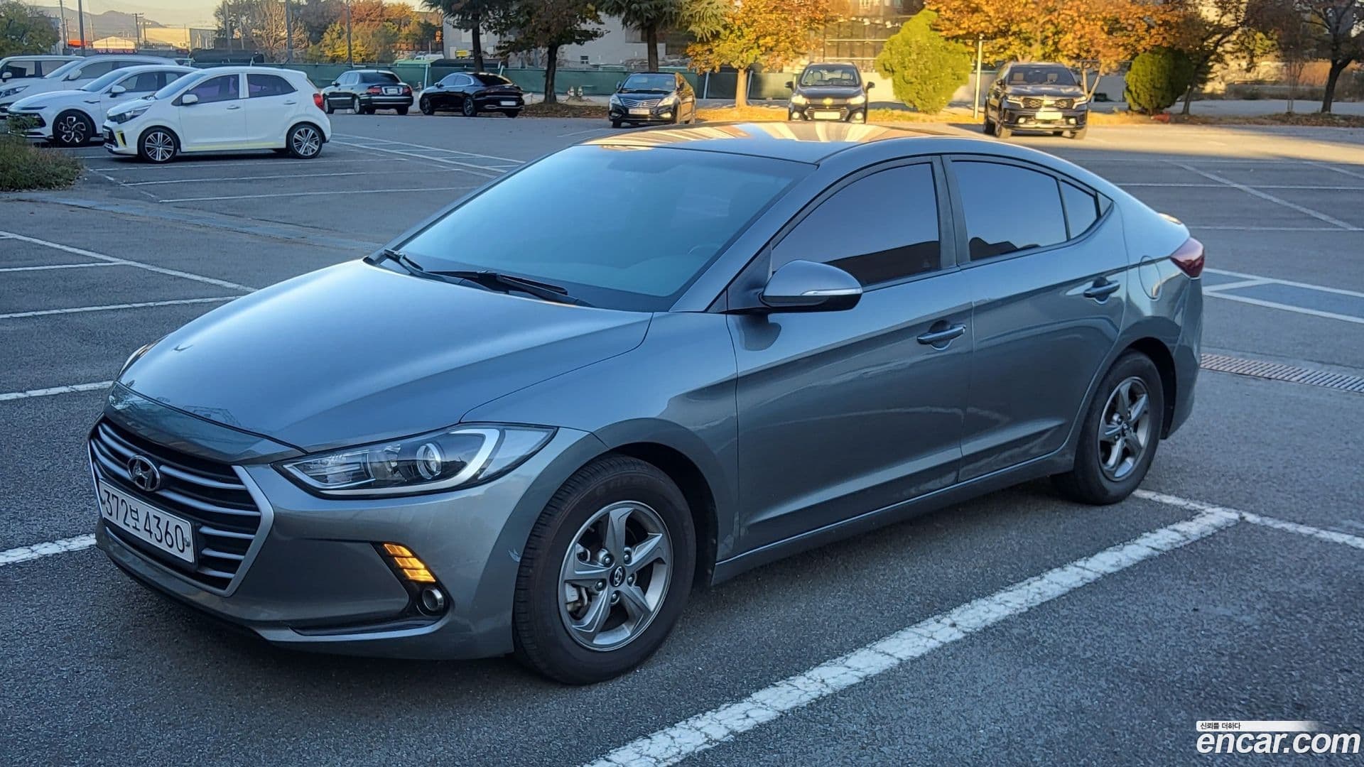 Main__Slider__Photo:AVANTE Hyundai 2017.1-0