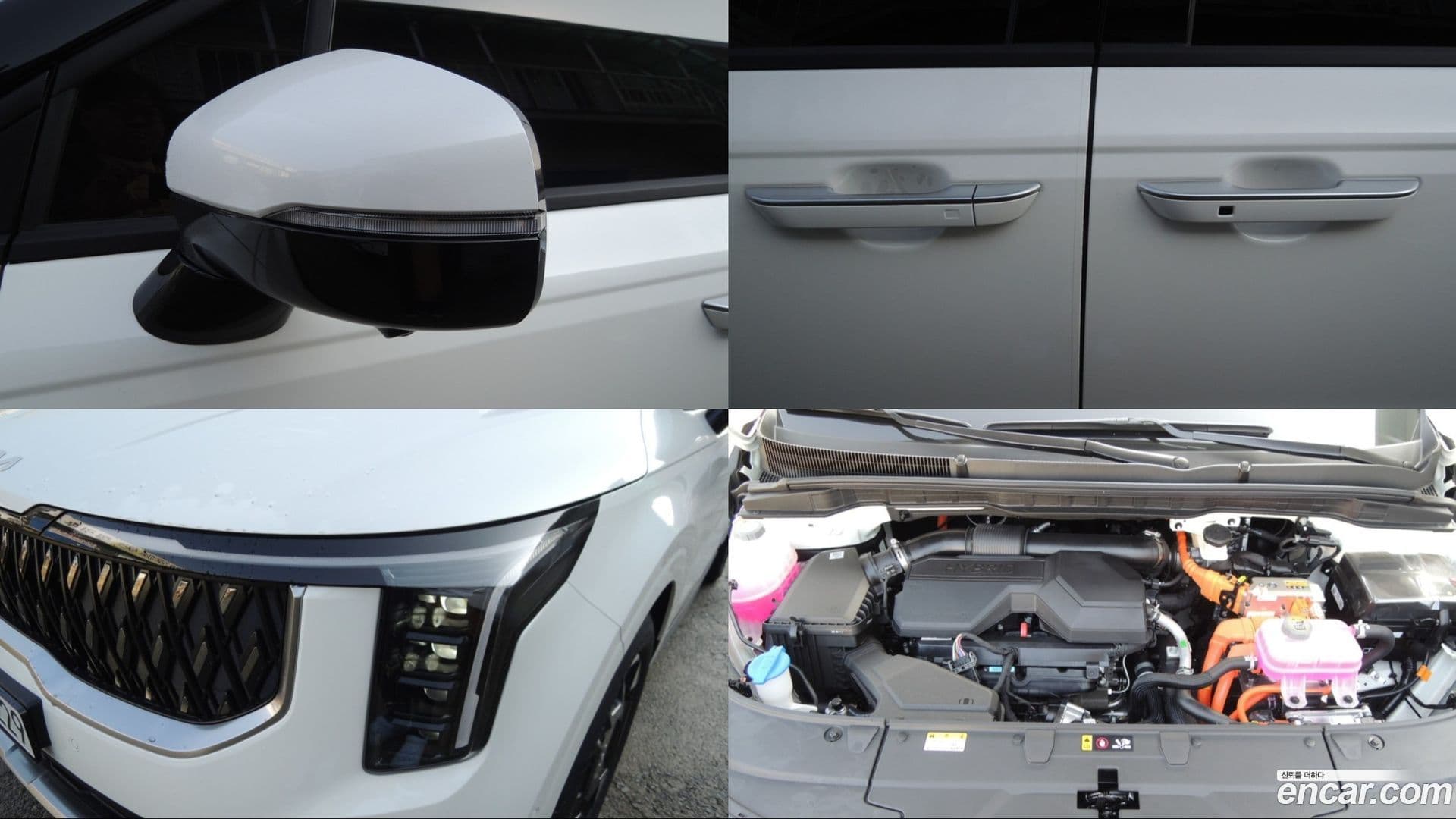 Main__Slider__Photo:Canival Kia 2025.5-19