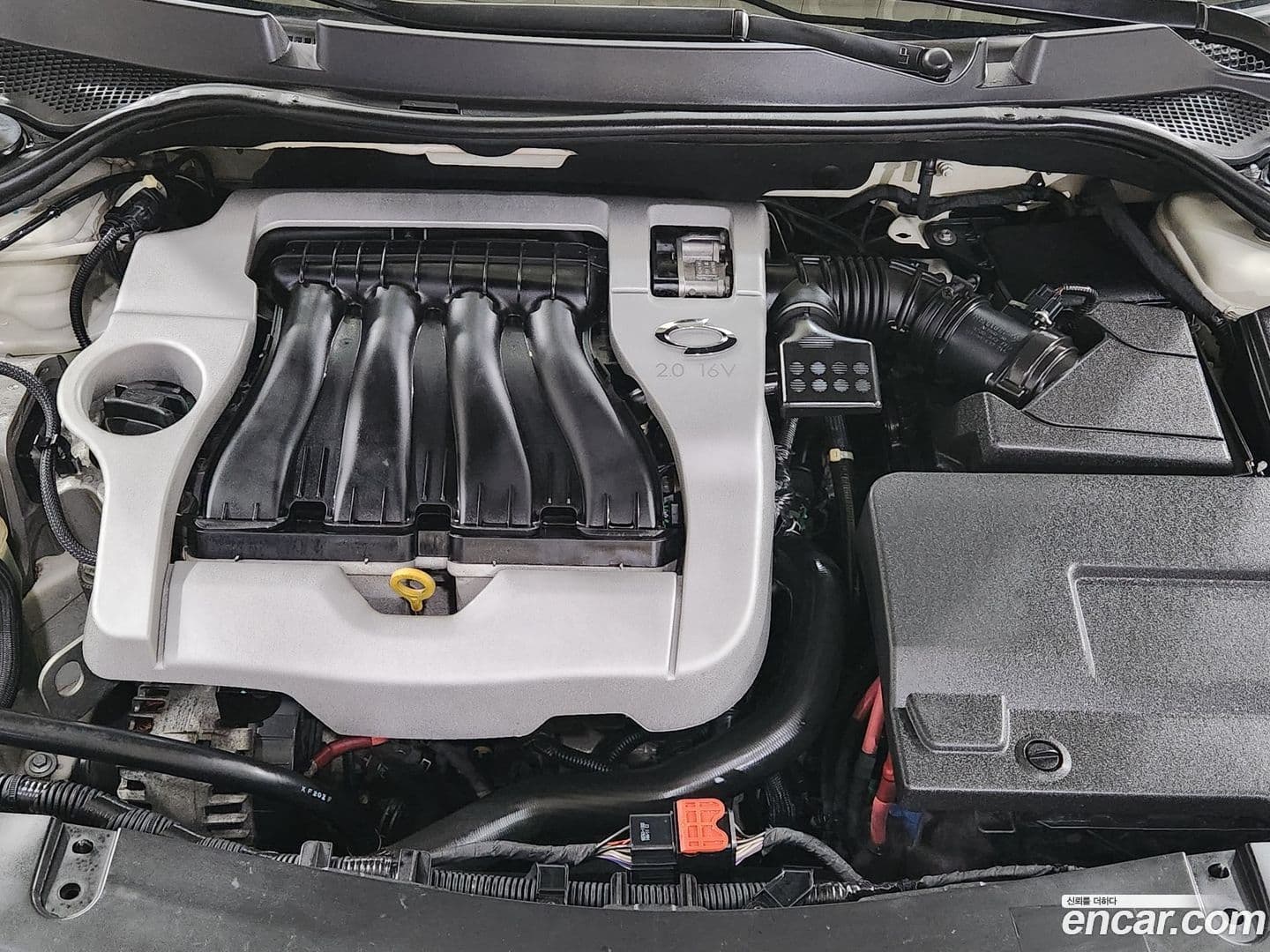 Main__Slider__Photo:SM5 Renault Korea 2011.11-5