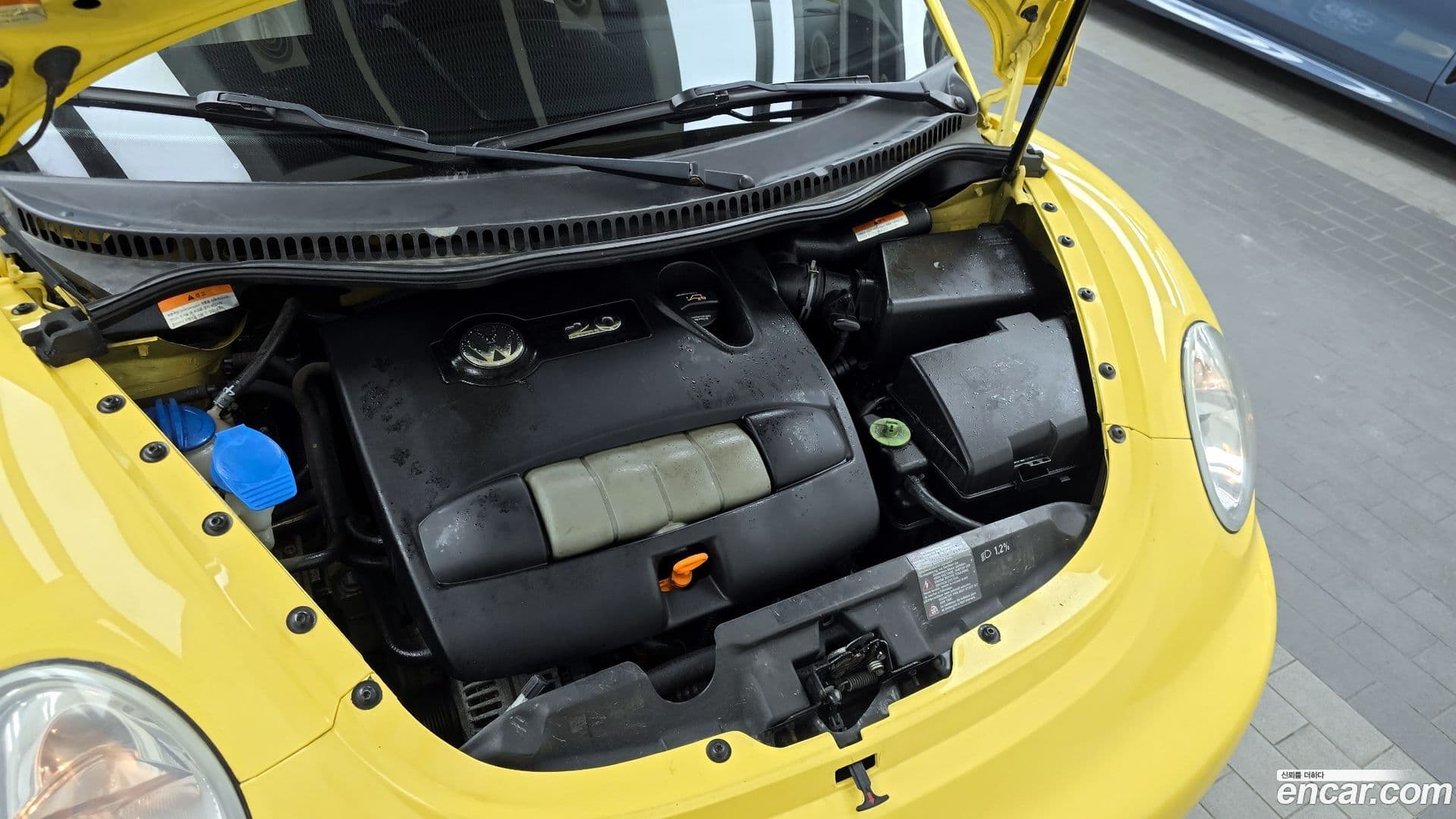 Main__Slider__Photo:Beatle Volkswagen 2005.10-5