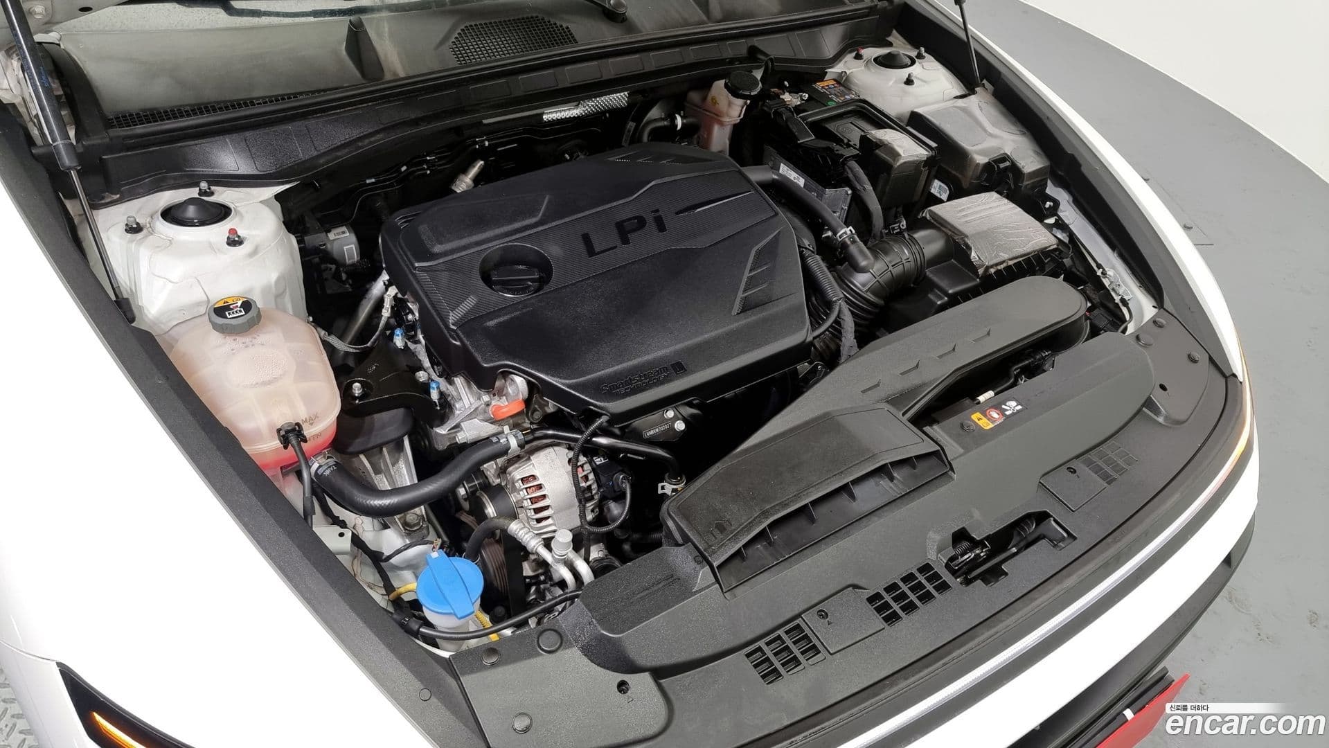 Main__Slider__Photo:Sonata Hyundai 2024.10-5