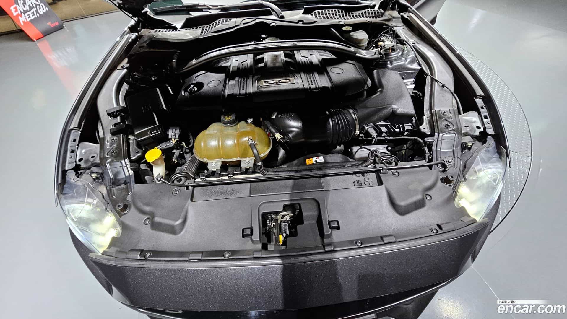 Mustang Ford 2018.3-INNER-006