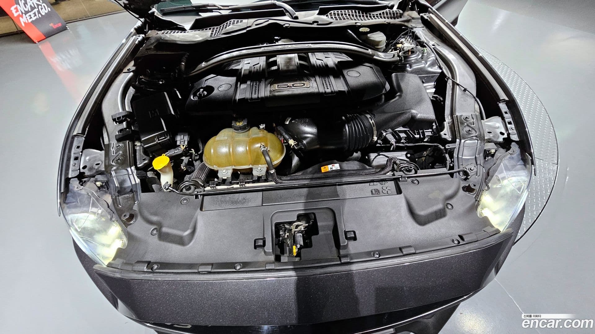 Main__Slider__Photo:Mustang Ford 2018.3-5