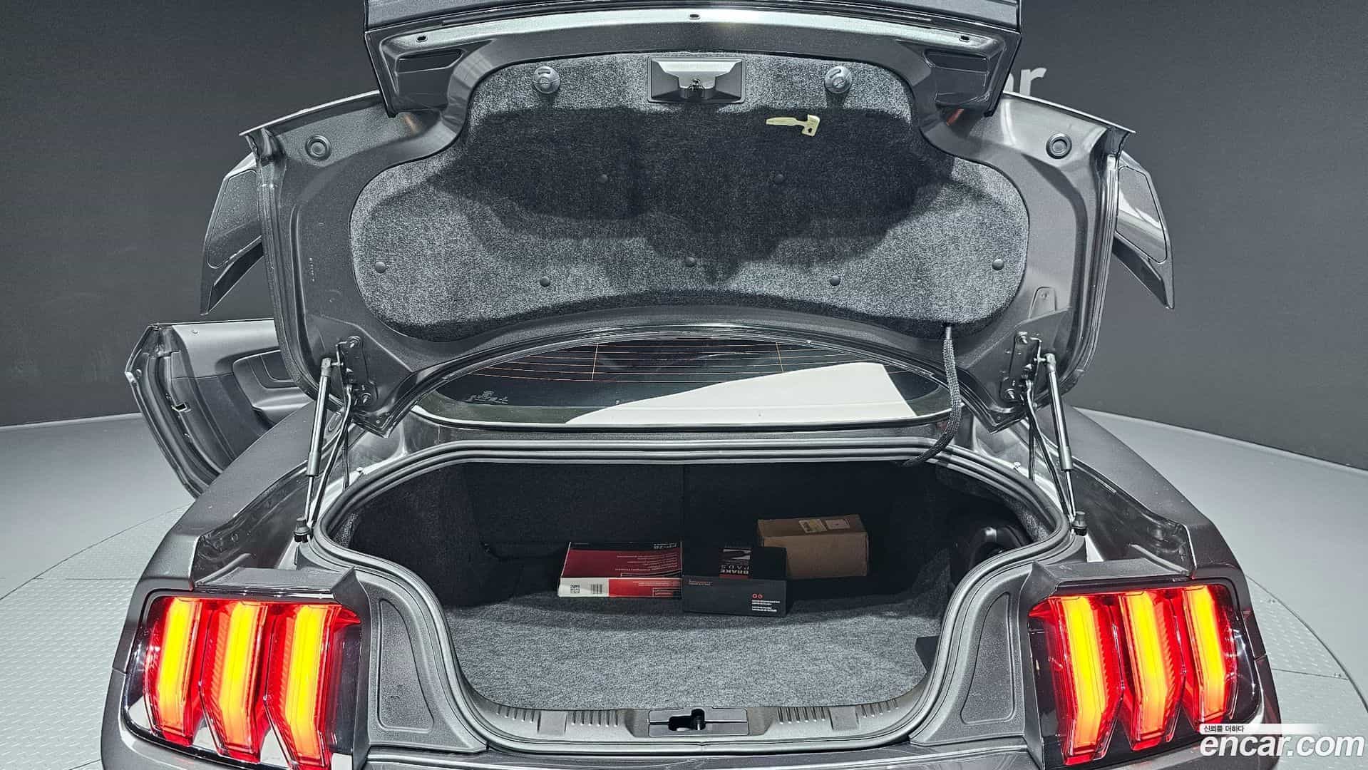 Mustang Ford 2018.3-OPTION-024