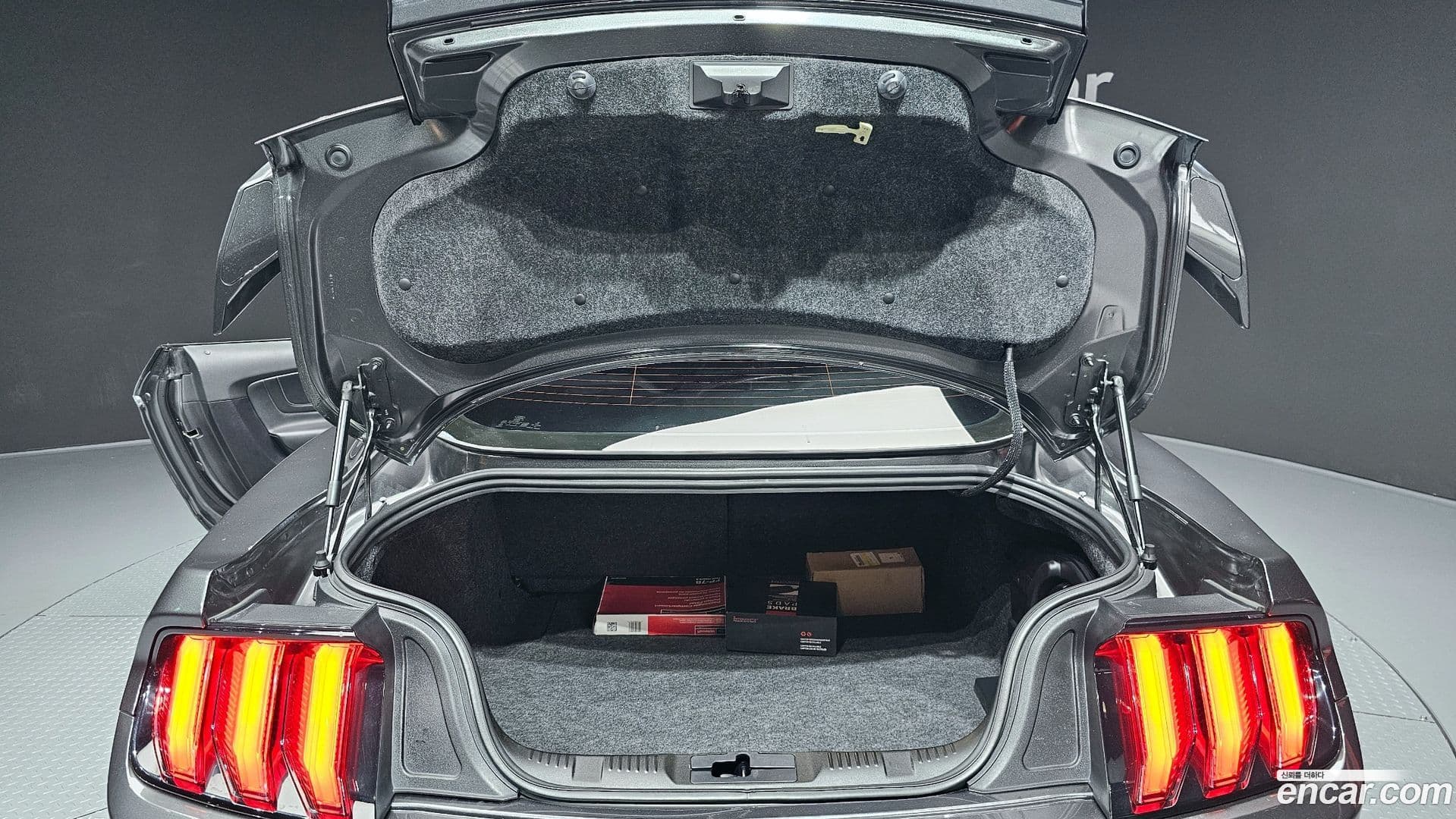 Main__Slider__Photo:Mustang Ford 2018.3-19