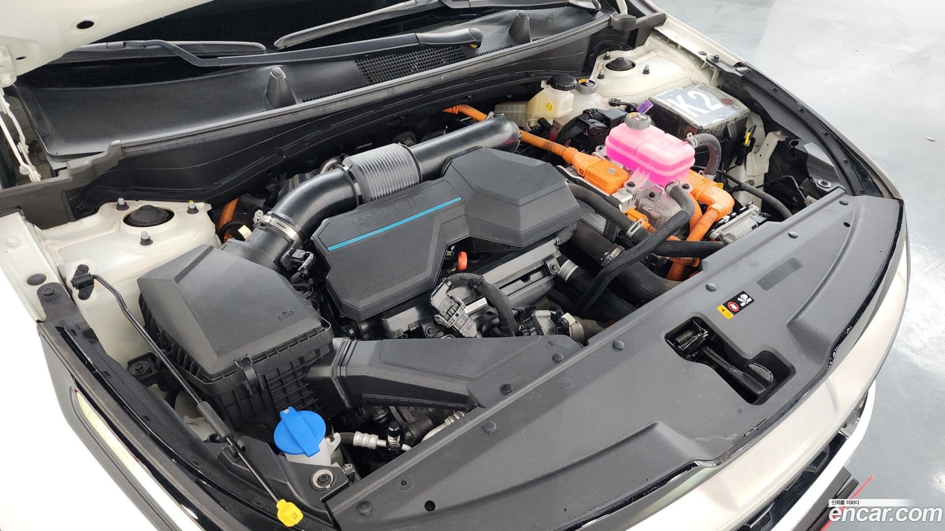 Main__Slider__Photo:Sportage Kia 2021.10-5