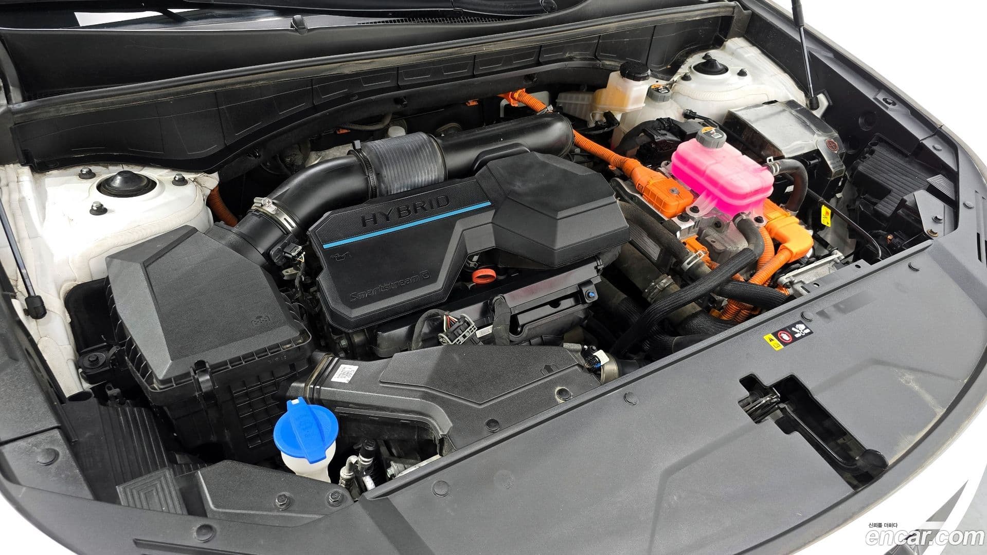 Main__Slider__Photo:Sorento Kia 2022.9-5