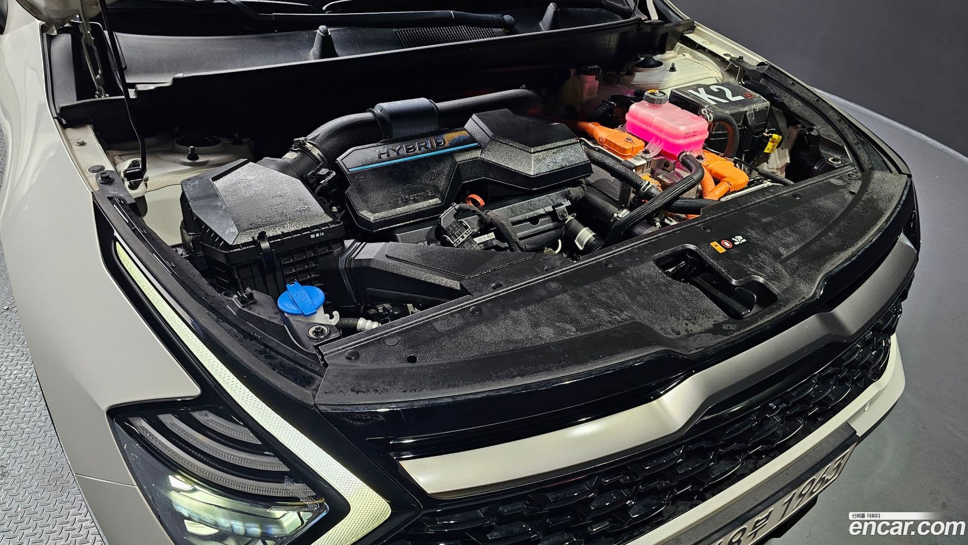 Main__Slider__Photo:Sportage Kia 2022.5-5