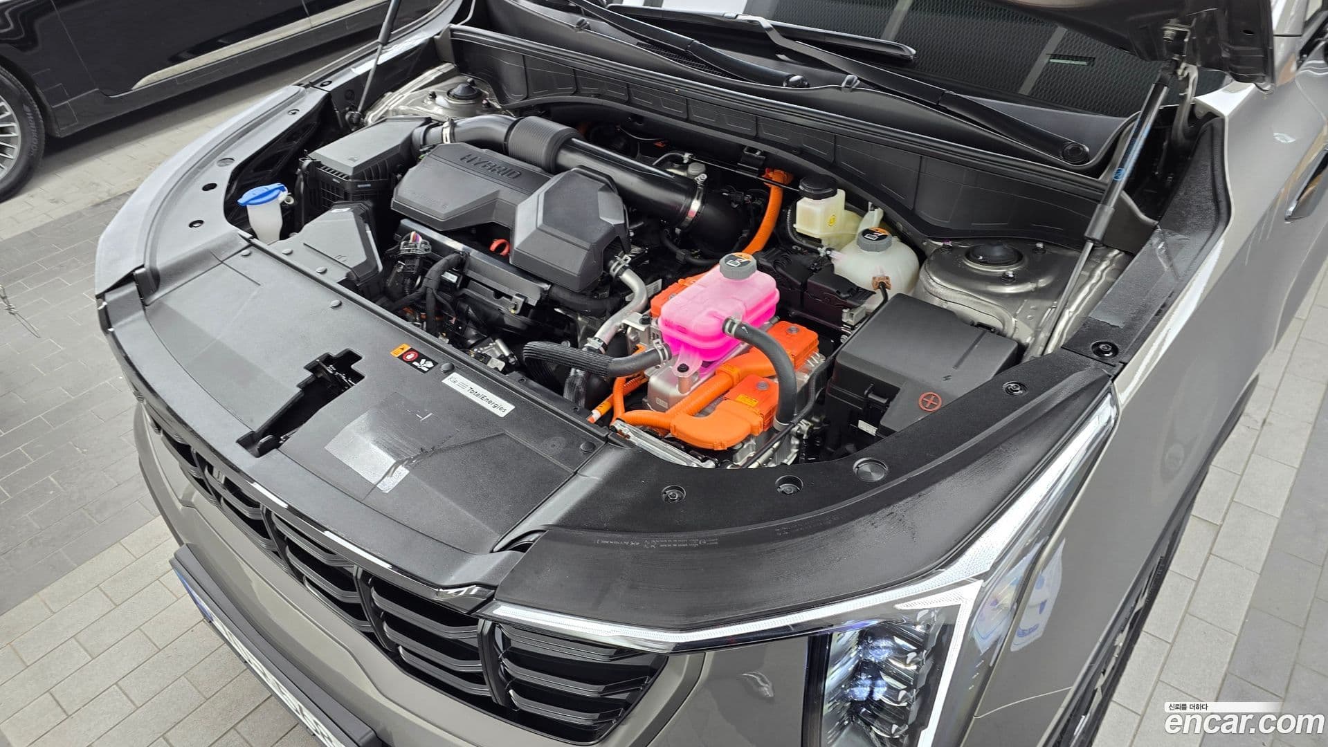 Main__Slider__Photo:Sorento Kia 2025.7-5