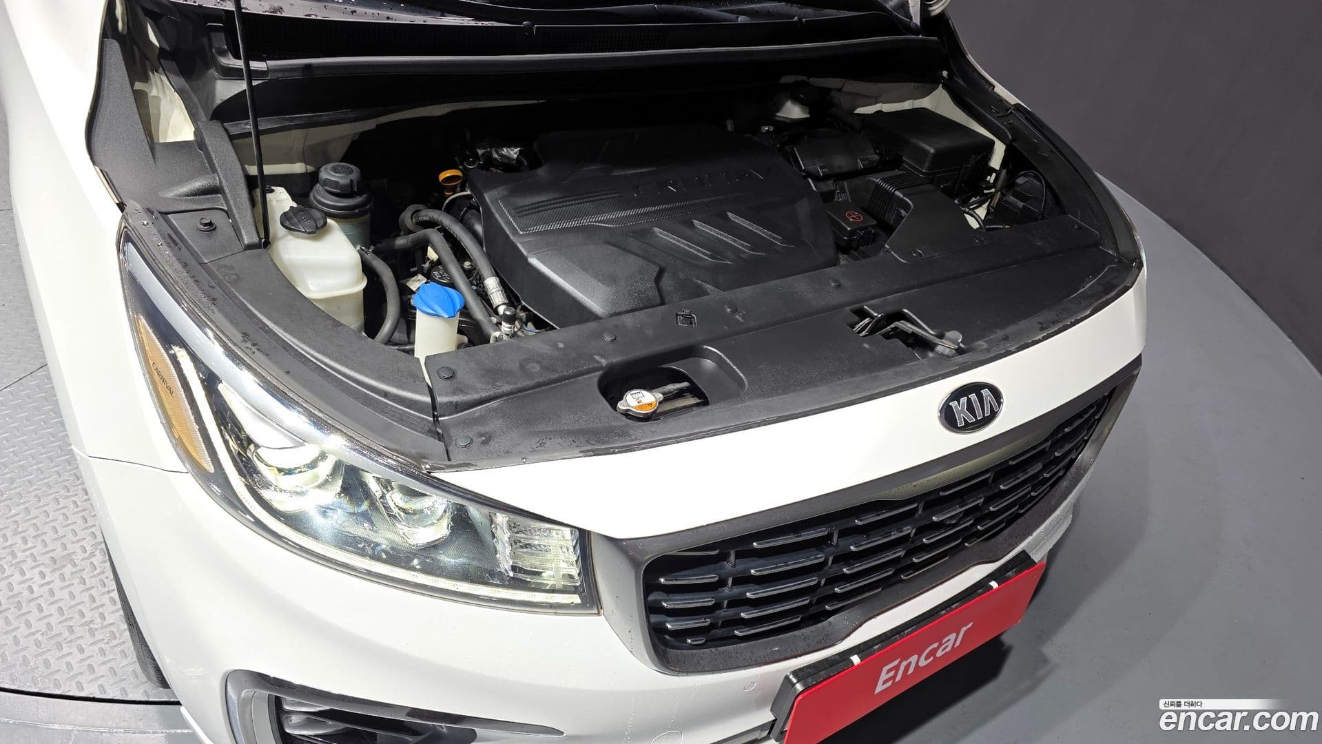 Main__Slider__Photo:Canival Kia 2018.11-5