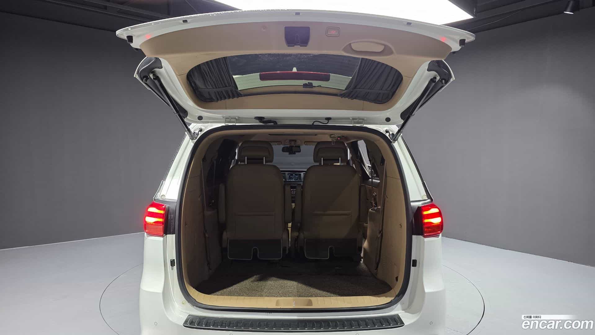 Canival Kia 2018.11-OPTION-024