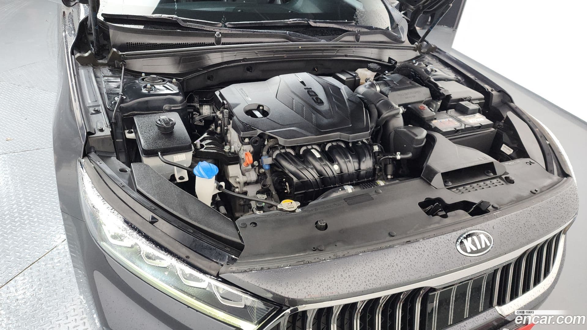 Main__Slider__Photo:K7 Kia 2019.11-5