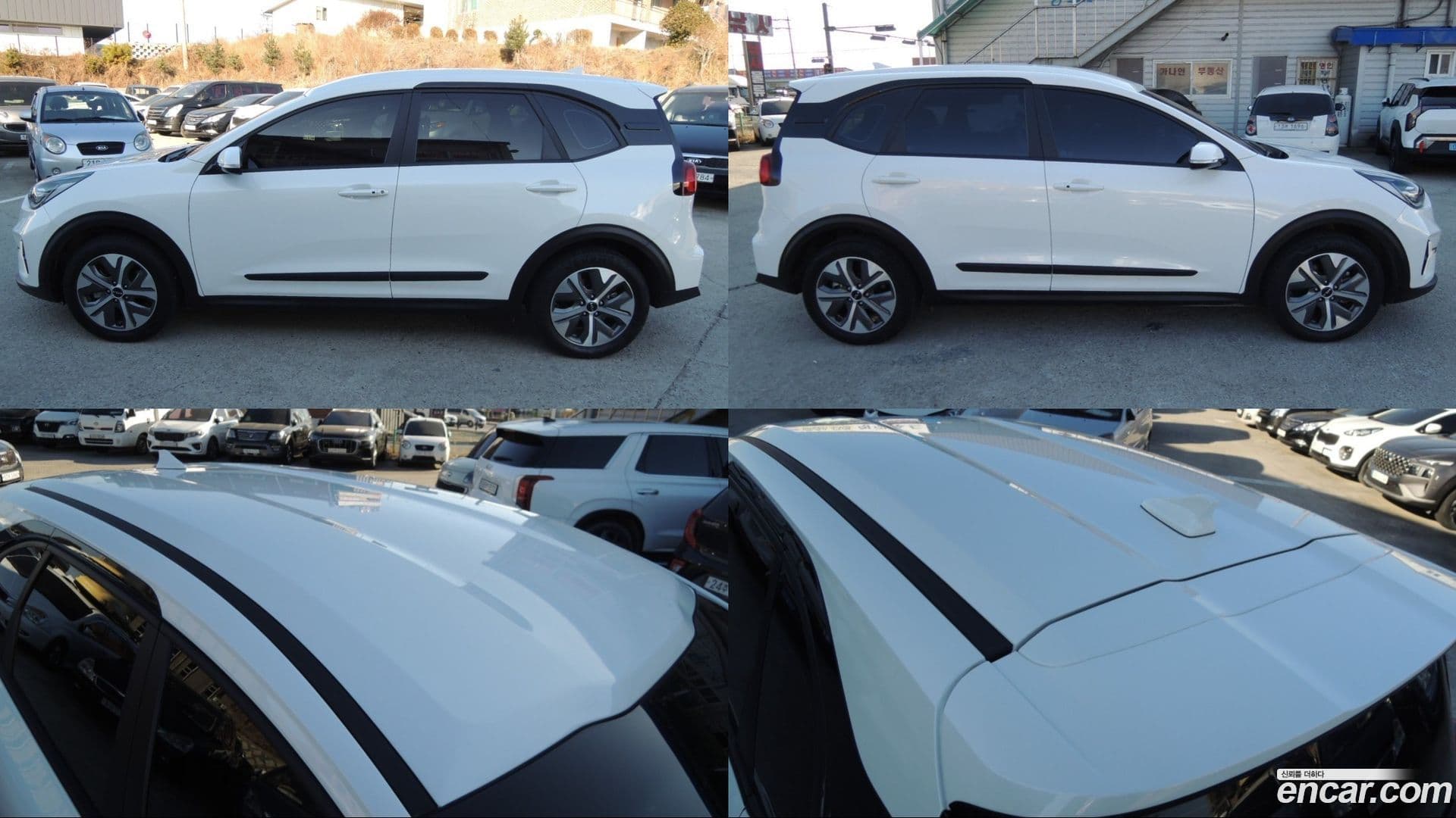 Main__Slider__Photo:Niro Kia 2022.5-17