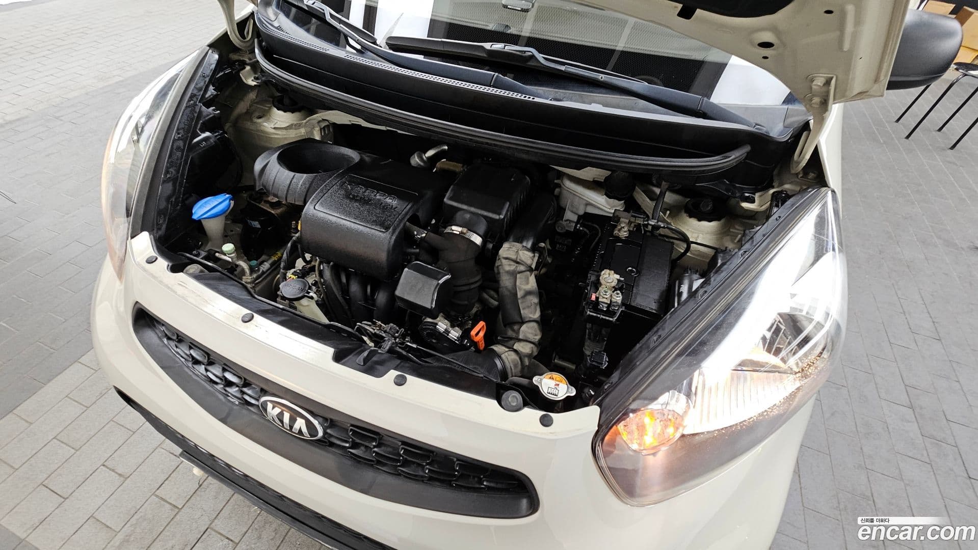 Main__Slider__Photo:morning Kia 2016.10-5