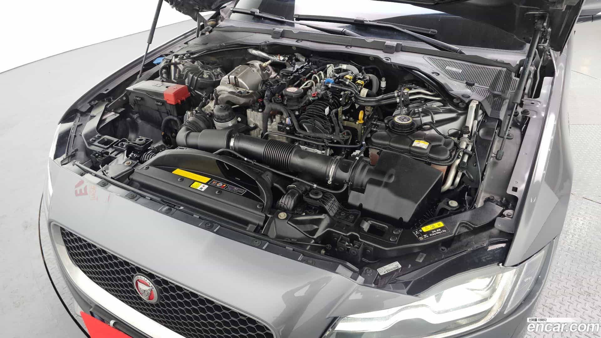 XF Jaguar 2018.7-INNER-006