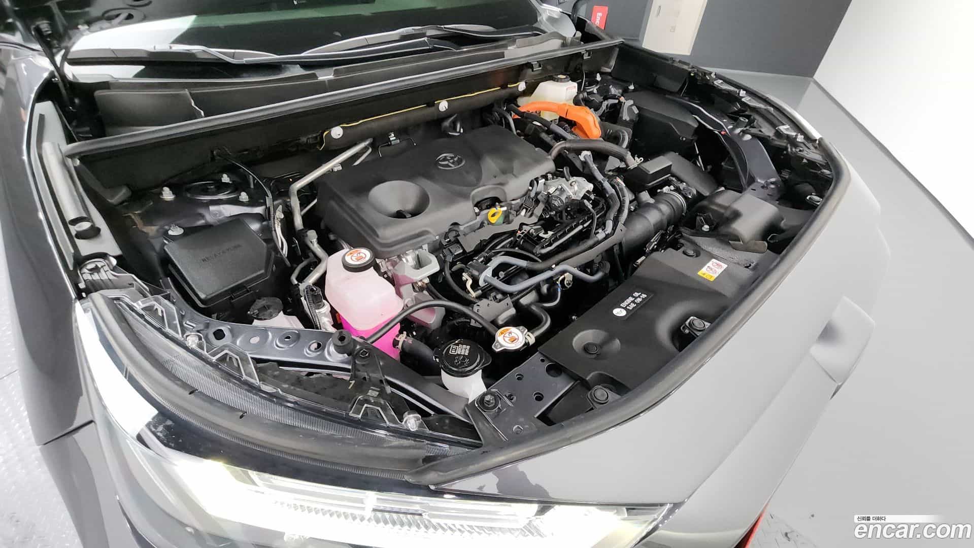 RAV4 Toyota 2025.2-INNER-006