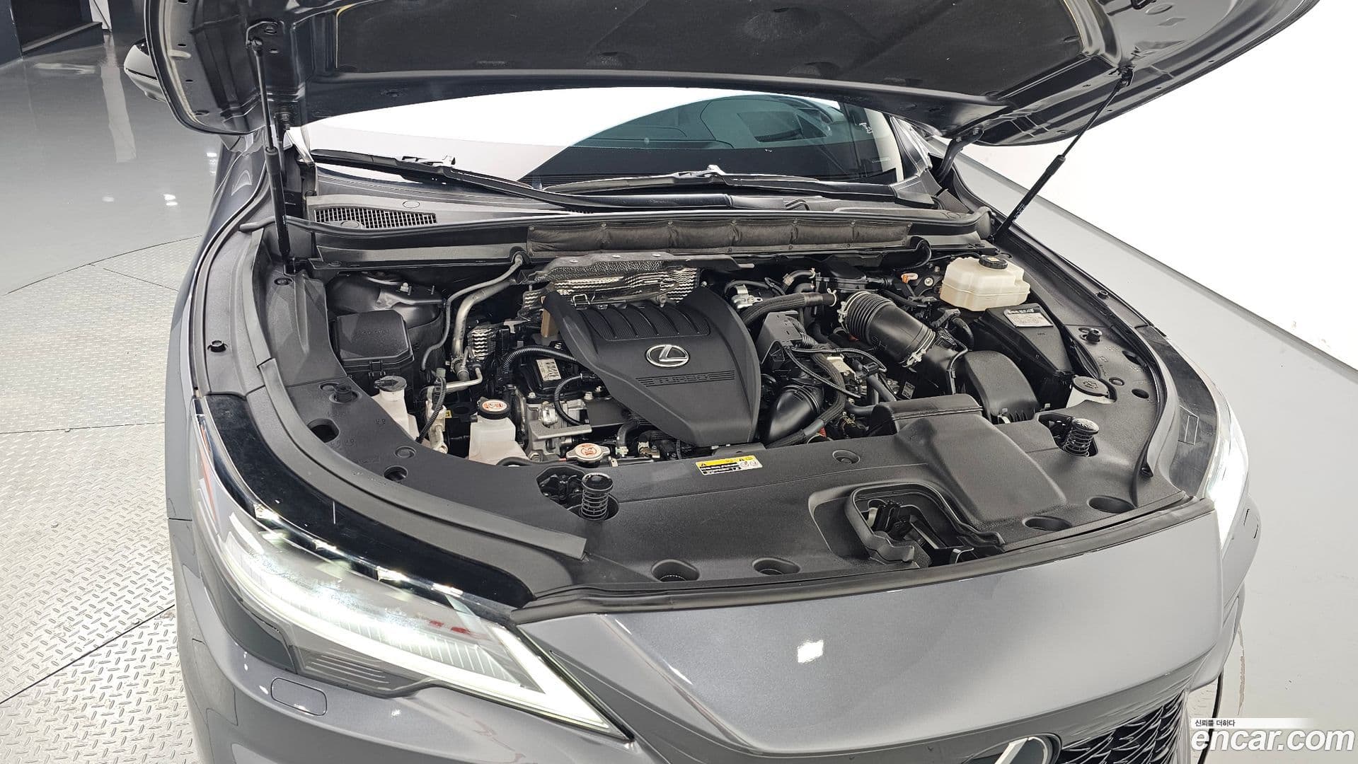 Main__Slider__Photo:RX Lexus 2023.9-5