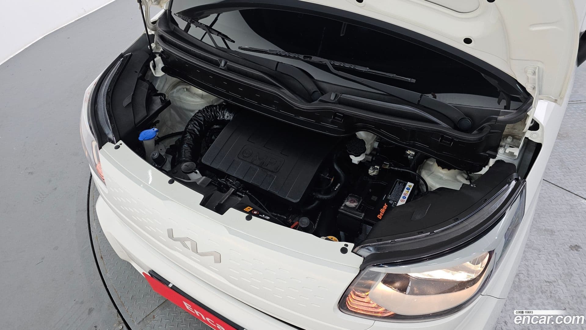 Main__Slider__Photo:RAY Kia 2021.8-5