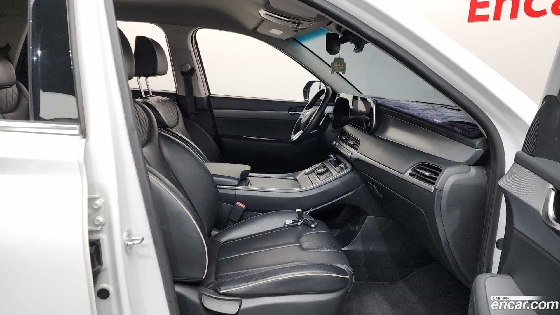 Palisade Hyundai 2019.1-OPTION-015