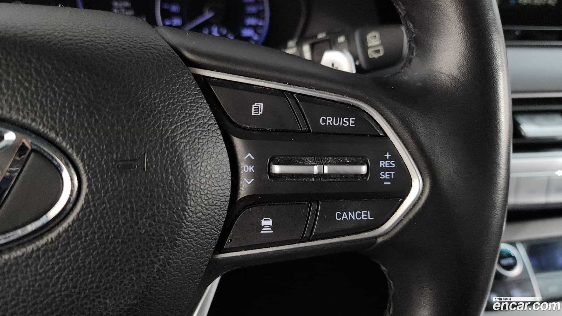 Palisade Hyundai 2019.1-OPTION-021