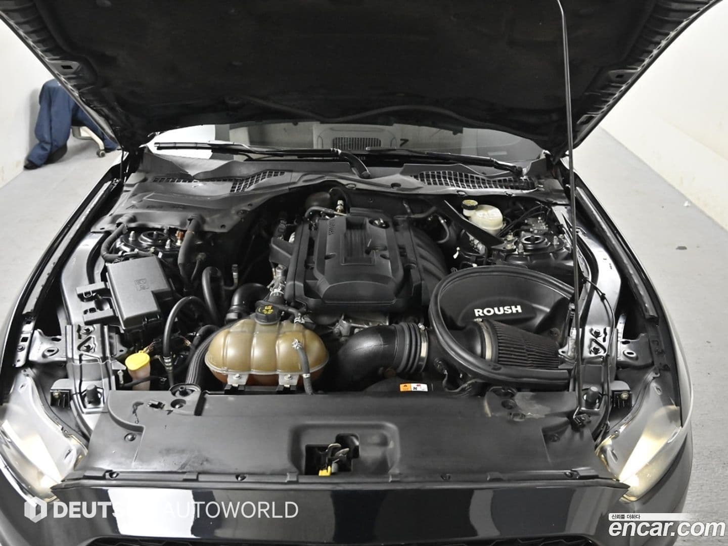 Main__Slider__Photo:Mustang Ford 2015.11-5