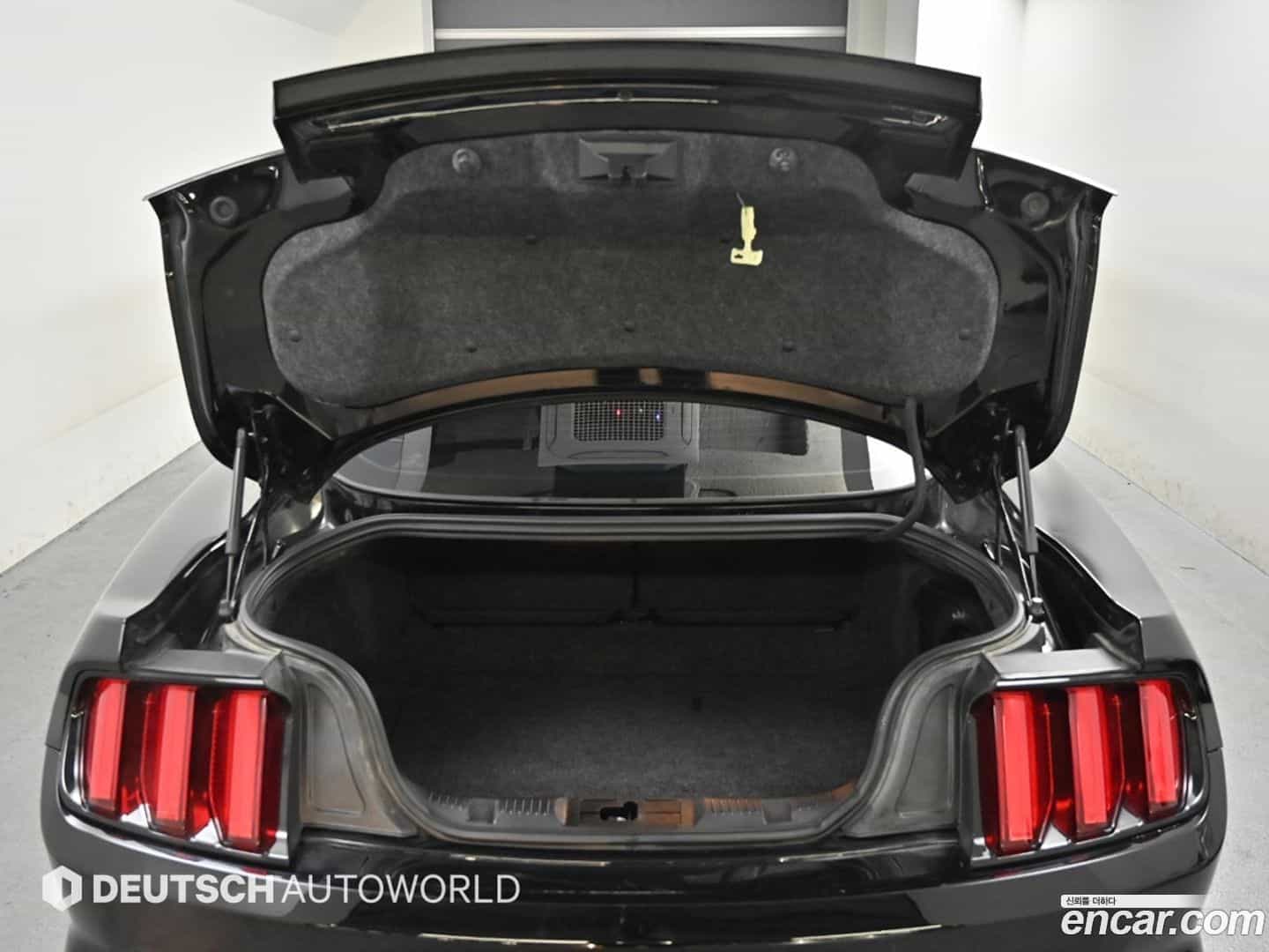 Mustang Ford 2015.11-OPTION-024