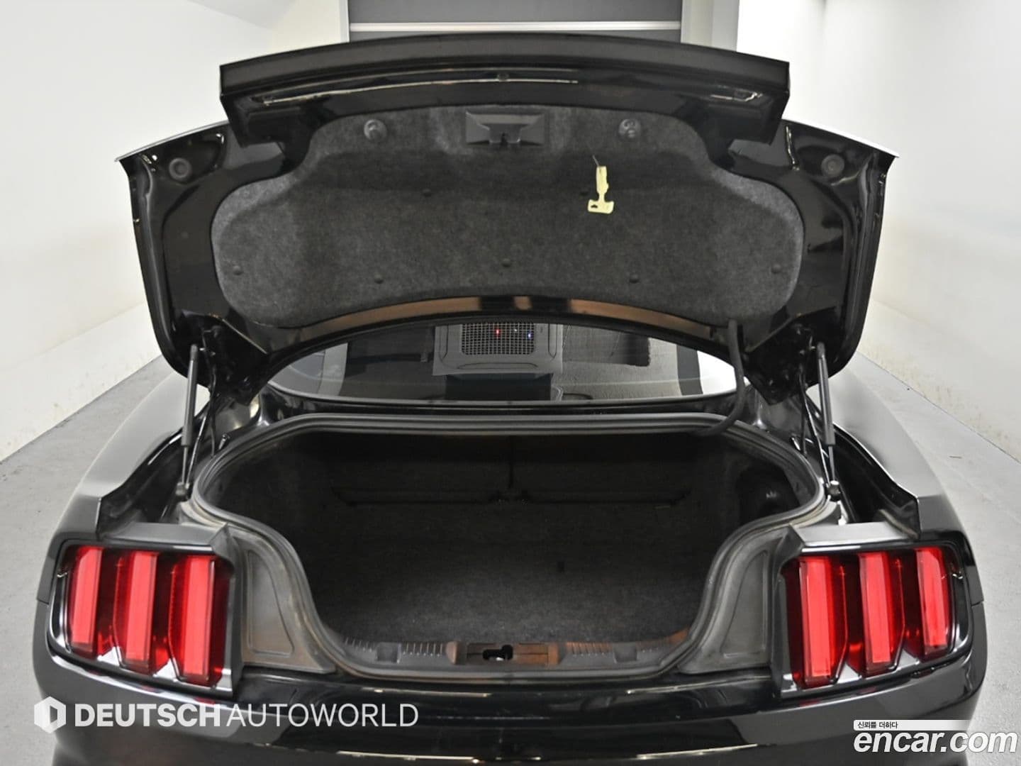 Main__Slider__Photo:Mustang Ford 2015.11-19