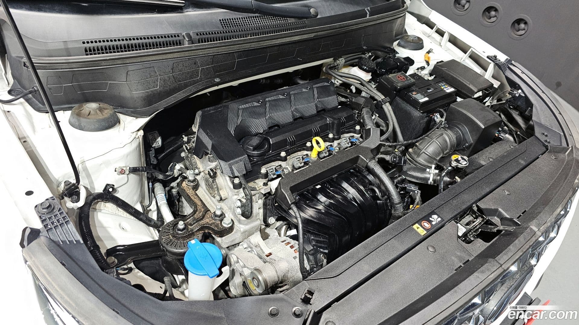 Main__Slider__Photo:Venue Hyundai 2021.3-5