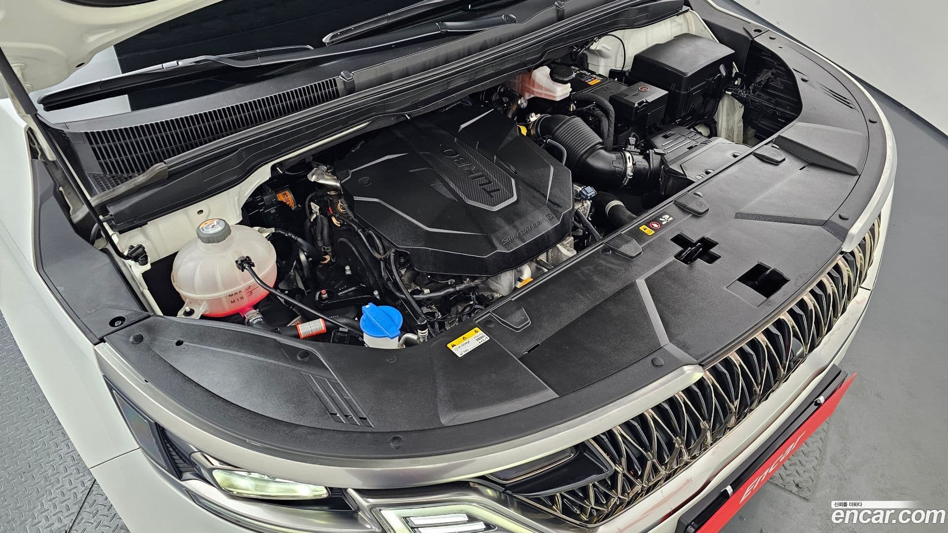 Main__Slider__Photo:Canival Kia 2022.4-5