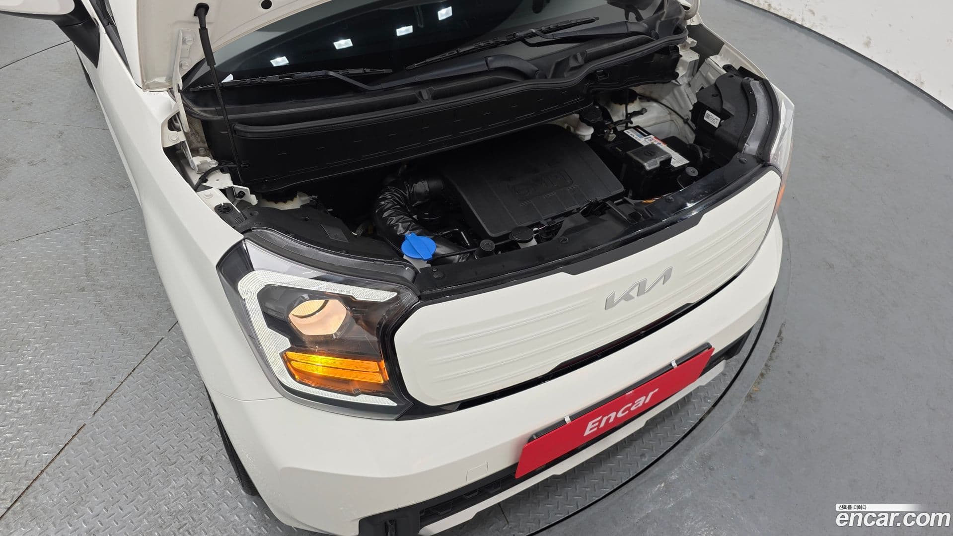 Main__Slider__Photo:RAY Kia 2022.10-5